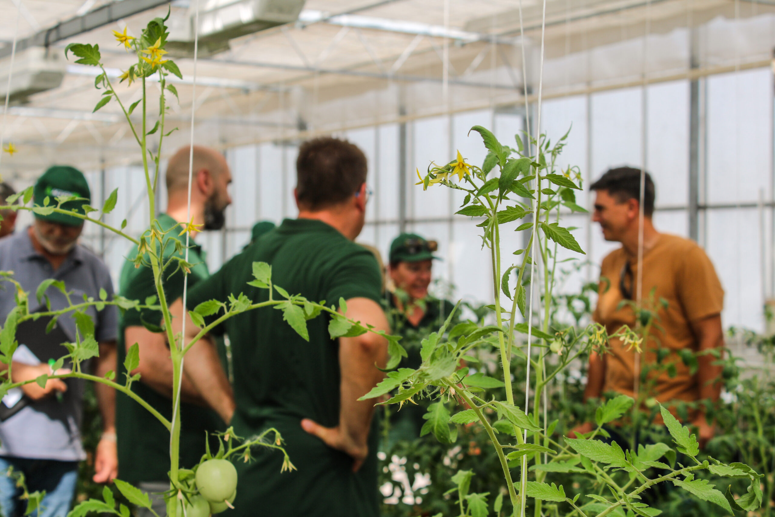 Photographe Corporate Nimes Equipe