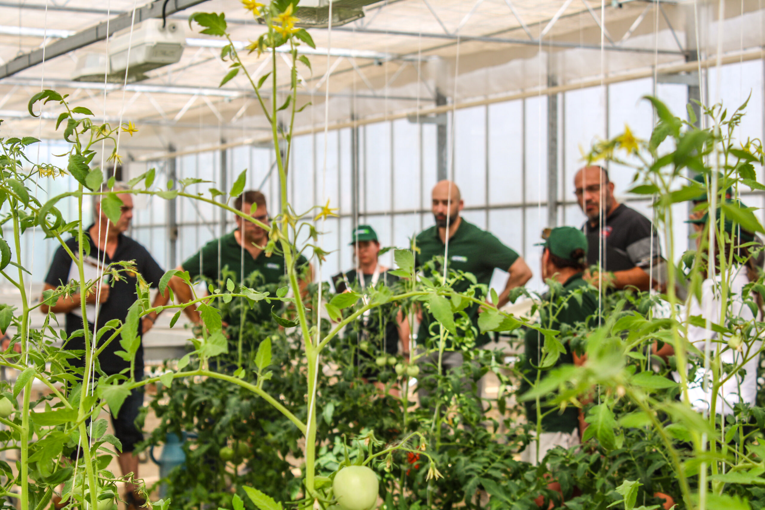 Photographie Corporate Nimes Action Pin