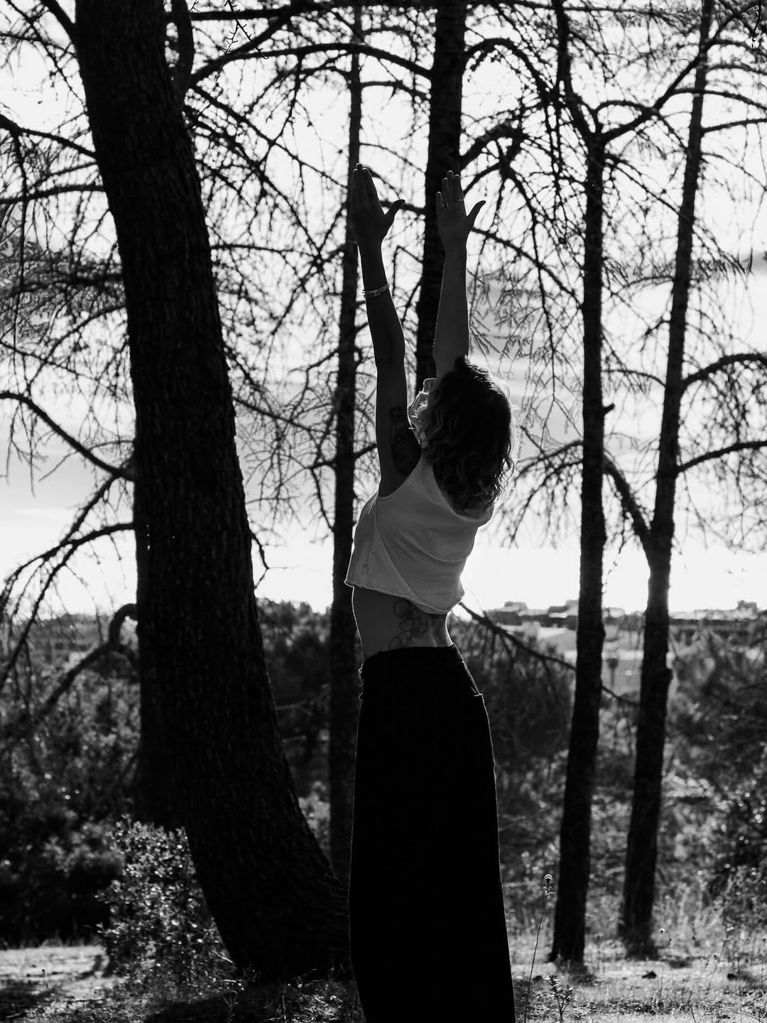 ancrage par @emilie delangre 🌳les arbres, les pierres et la nature s’alignent avec nous.le co