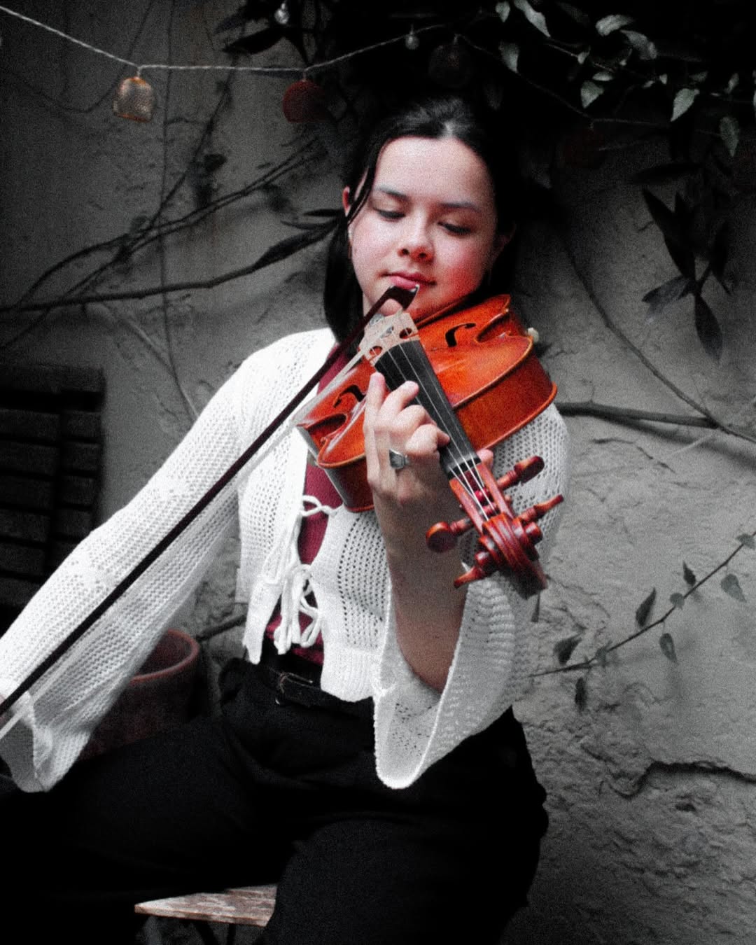 portrait altiste montpellier